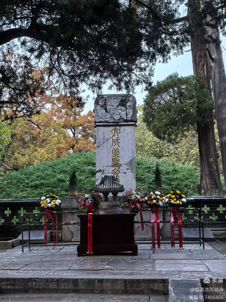 山东朝圣之旅之十一月八日游孔林